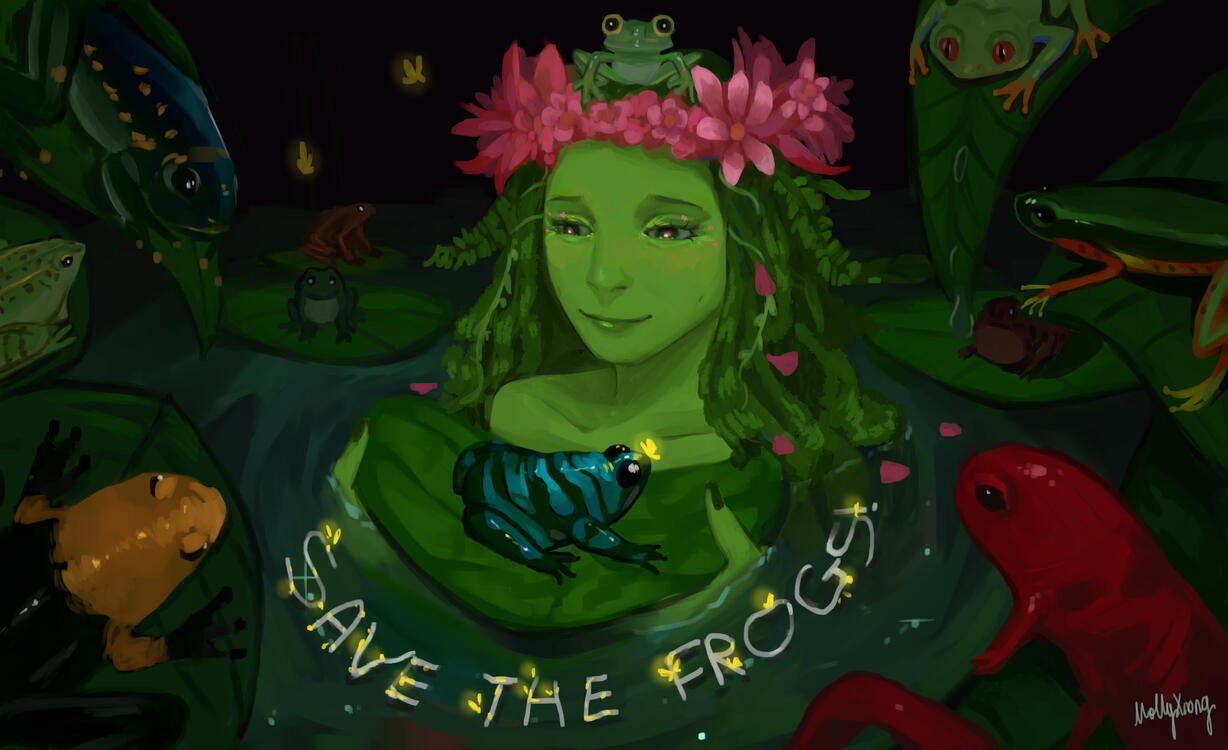 Safe the frogs competition art